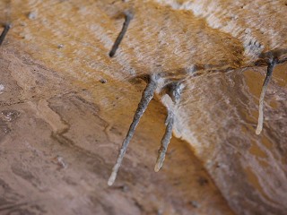Tunnel stalactites